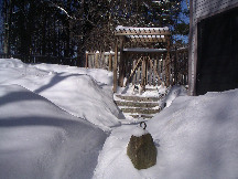 It was a snowy winter. The back yard was buried.
